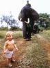 Photo Album and Picture Gallery 6 75 Image
