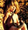 Photo Album and Picture Gallery 6 76 Image