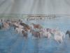 Photo Album and Picture Gallery 202 415 Image