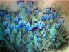 Photo Album and Picture Gallery 202 418 Image