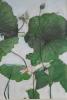 Photo Album and Picture Gallery 202 421 Image