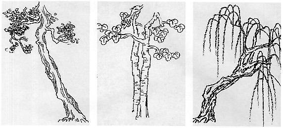 树的速写画法 - 在线教育网 - 树干画法