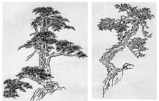 树的速写画法 - 在线教育网 - 树叶画法